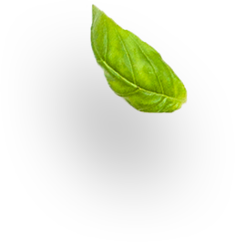 slider-layer4 slider-layer4