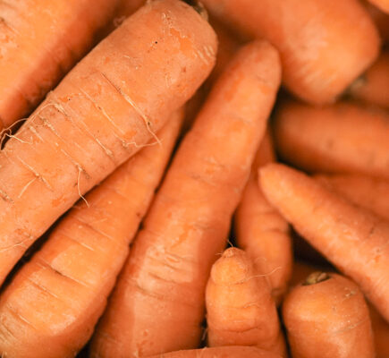 carrot