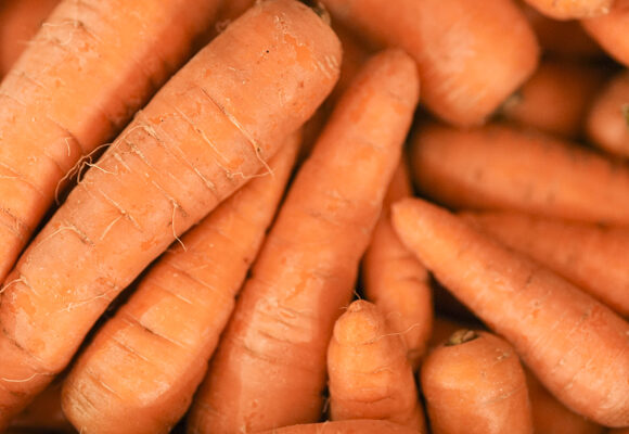 carrot